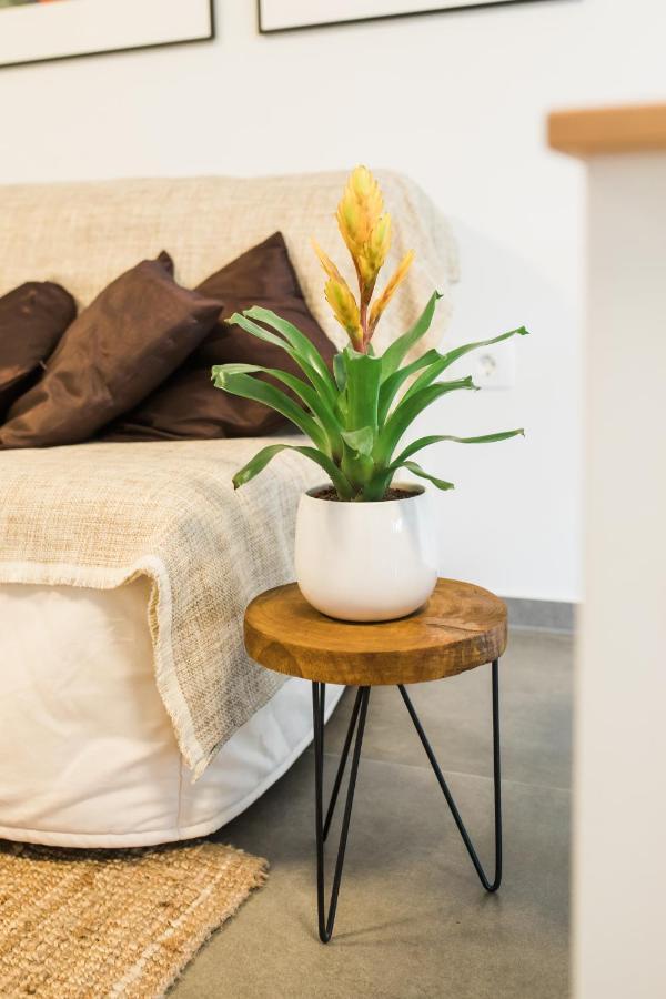Apartma Lojz