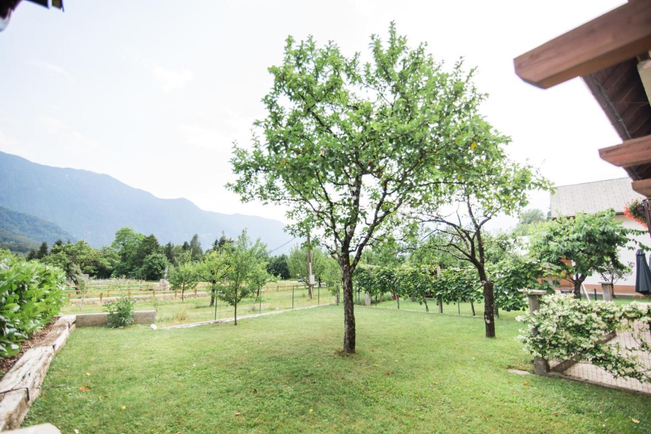 Apartma Lojz Appartement *